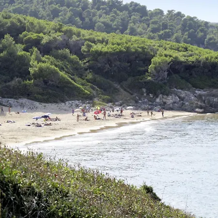 Mit Wallbox By Interhome Apartamento *